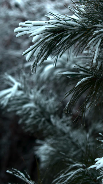 Cold Exposure Stock Footage: Royalty-Free Video Clips - Storyblocks