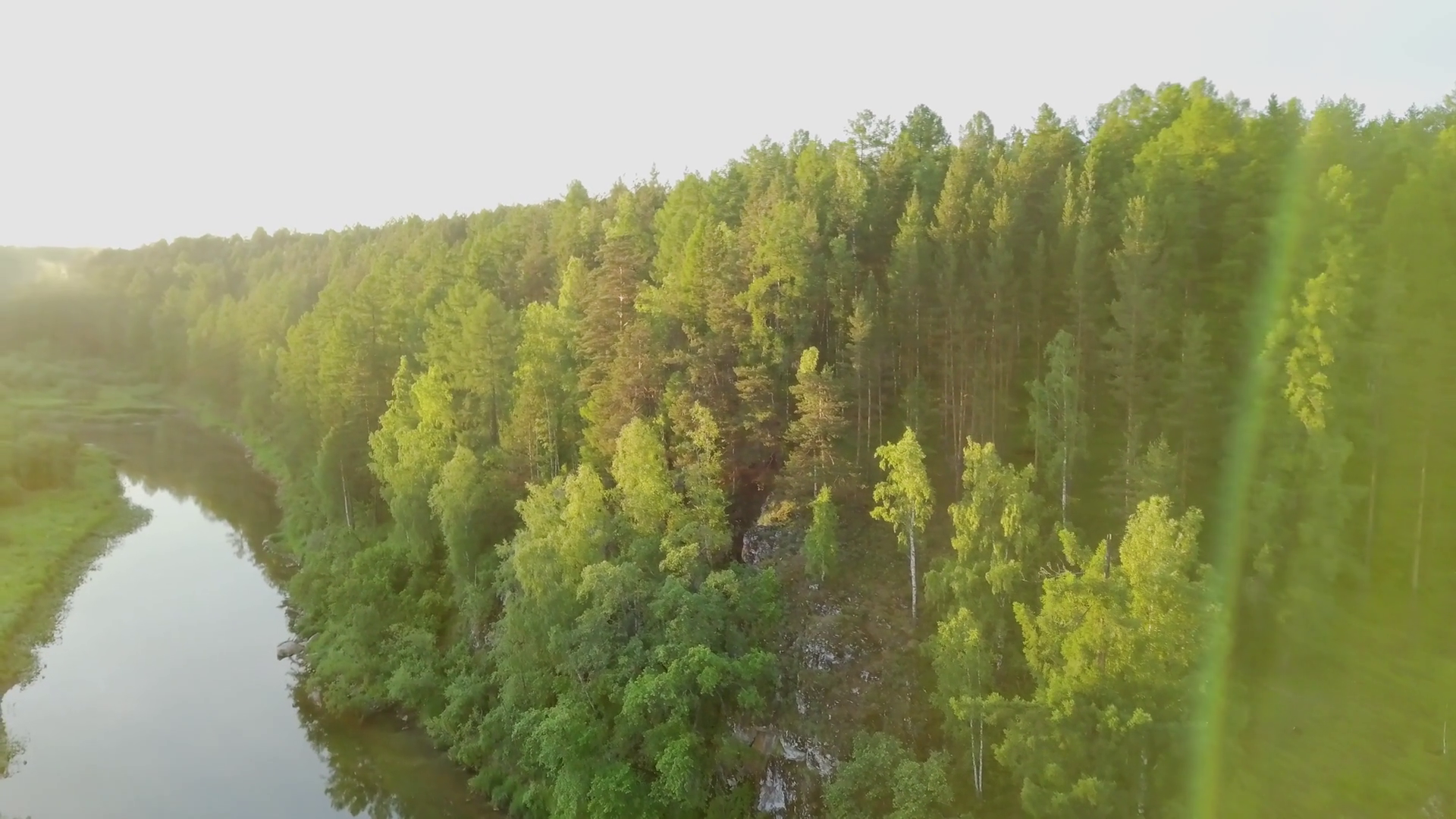 Bright Sunny Rays Falling On Green Forest Stock Footage SBV-348535809 ...