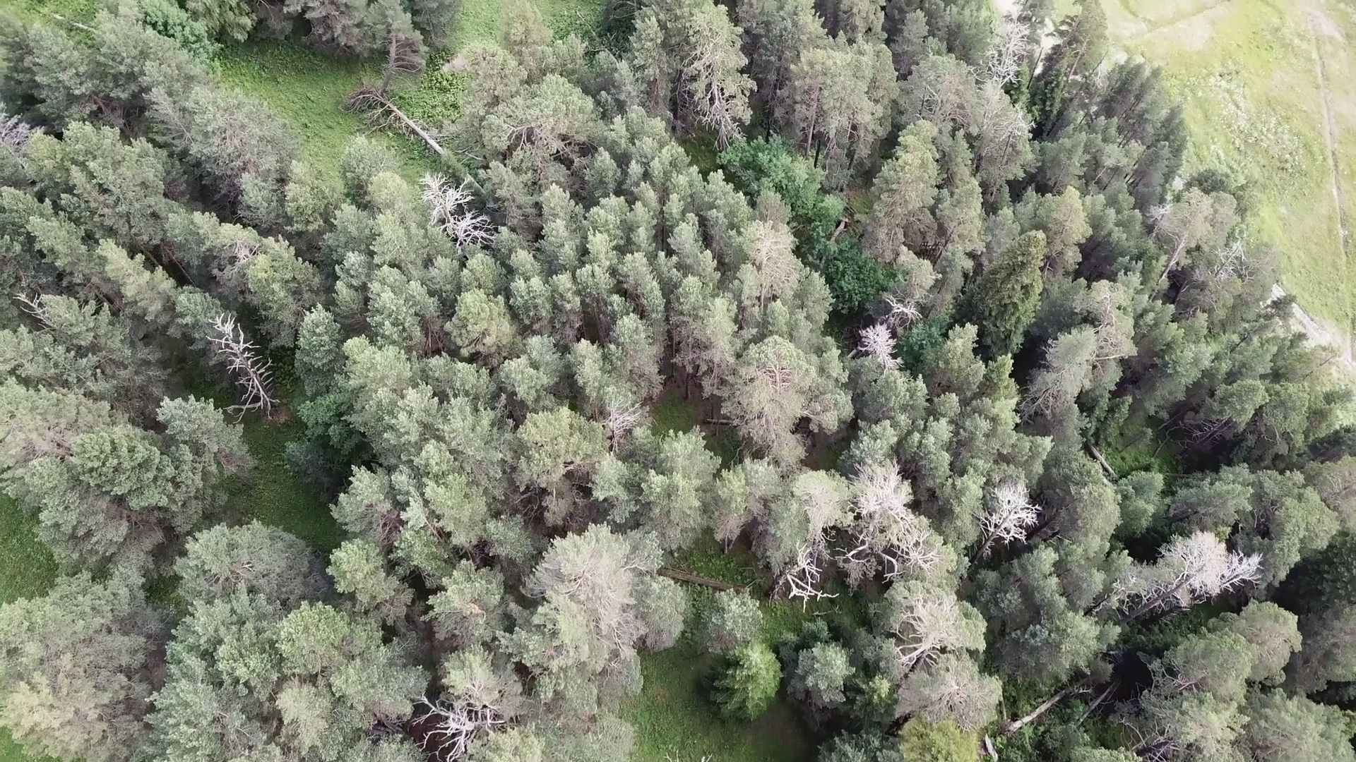 Aerial View Camera Moves From Along Green Stock Footage SBV-348578651 ...