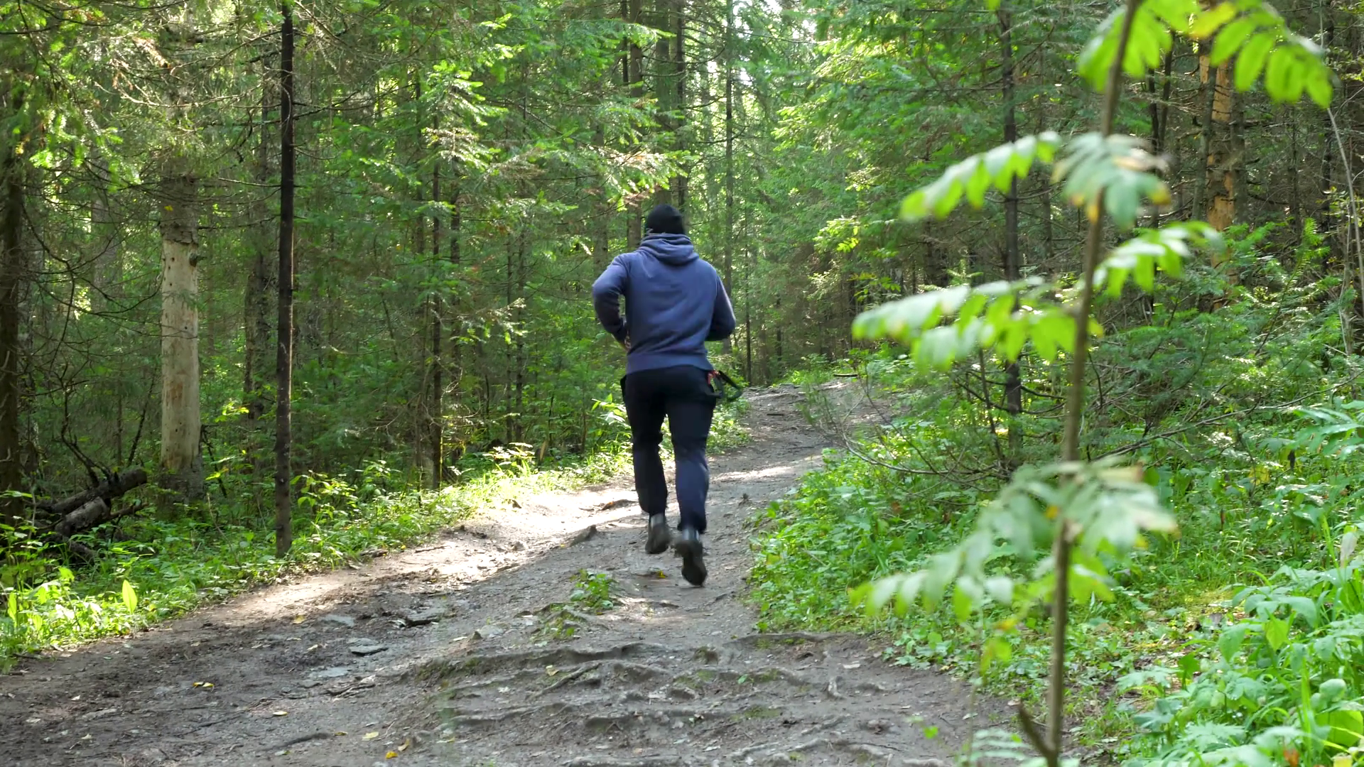 Man Running In Forest Athletic Man Running Stock Footage SBV-348585643 ...