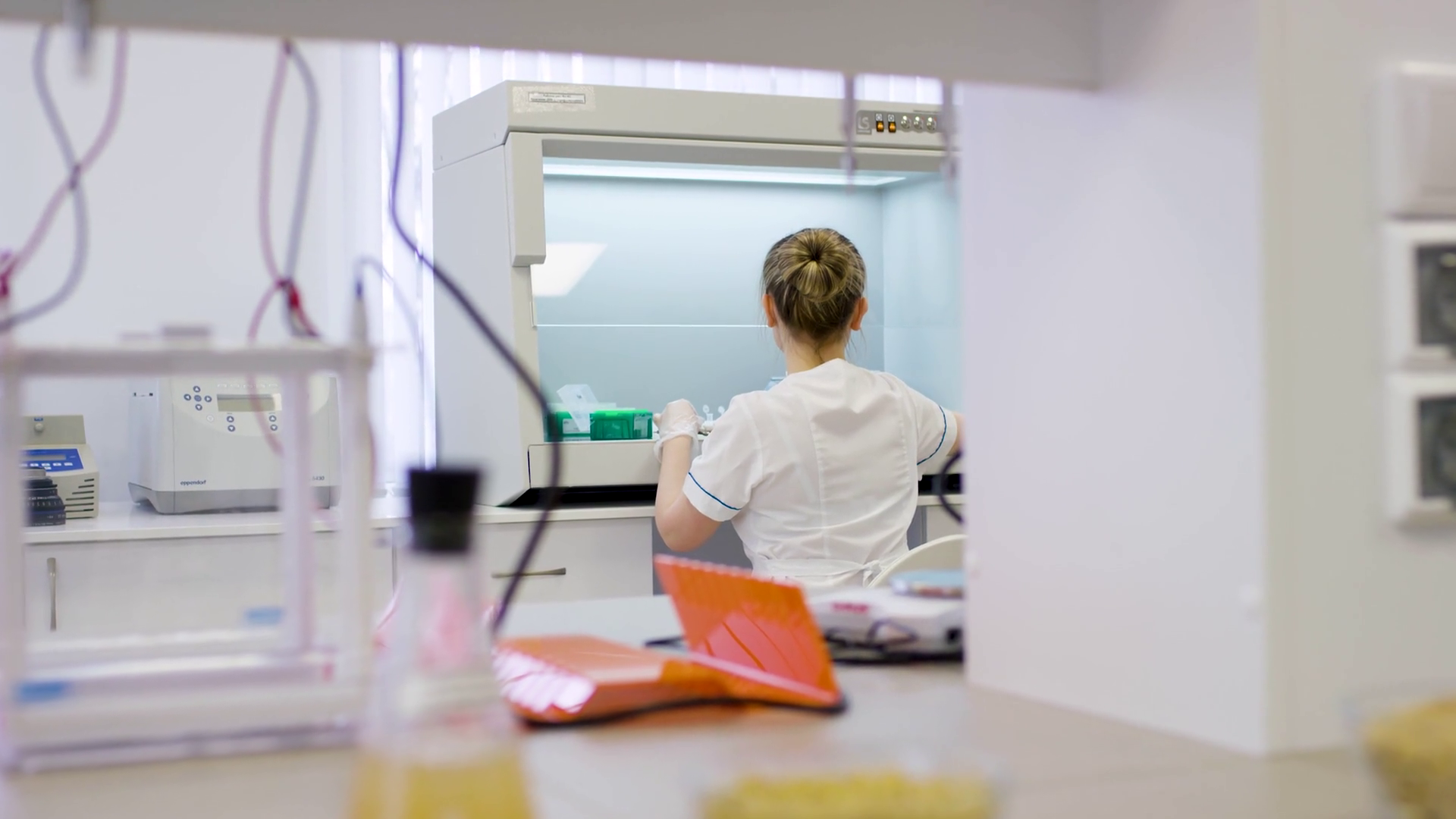 Young Female Nutritionist Testing Food Stock Footage SBV-348586951 ...