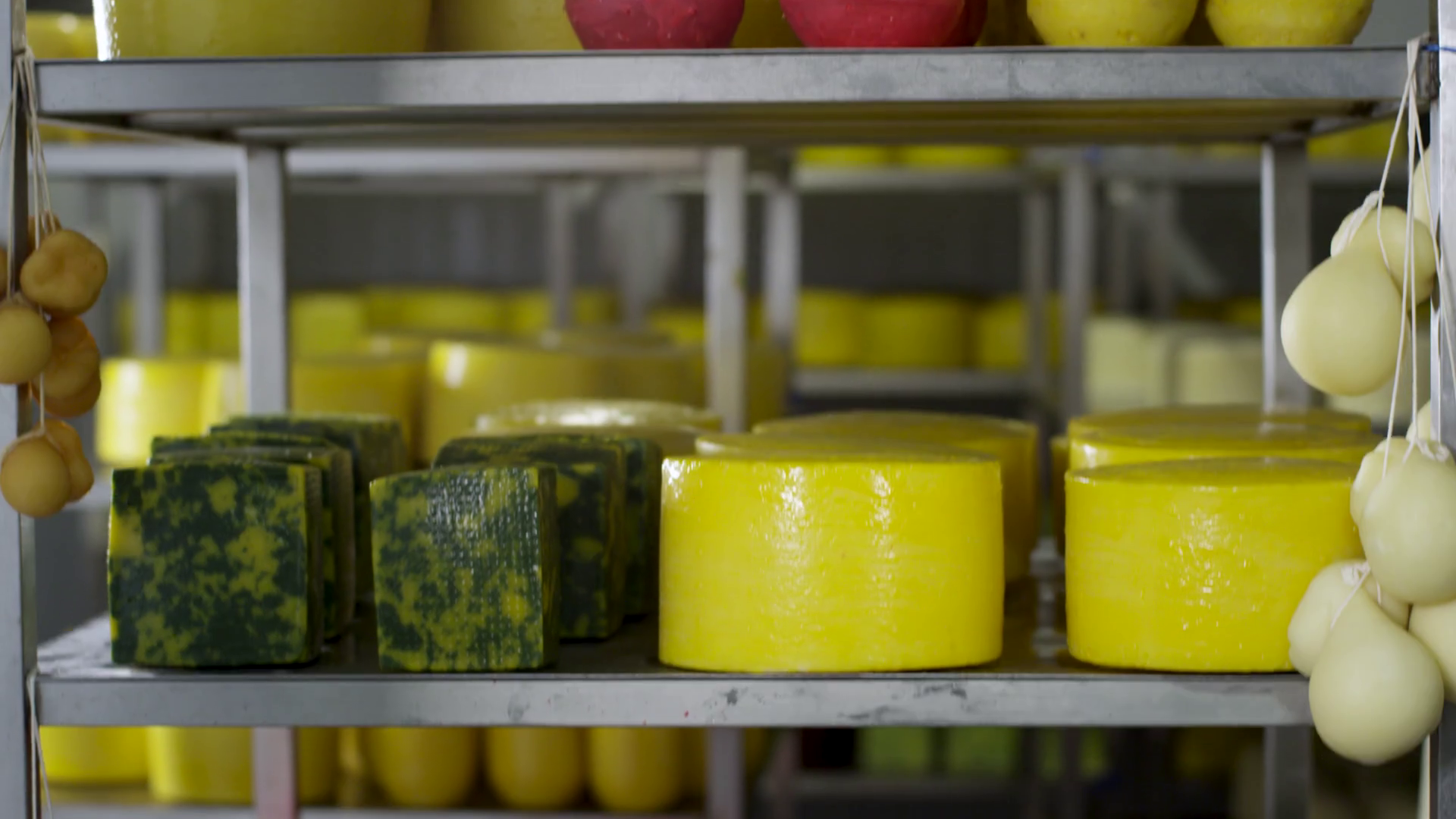Multi-colored Cheeses Of Different Grades On Stock Footage SBV ...