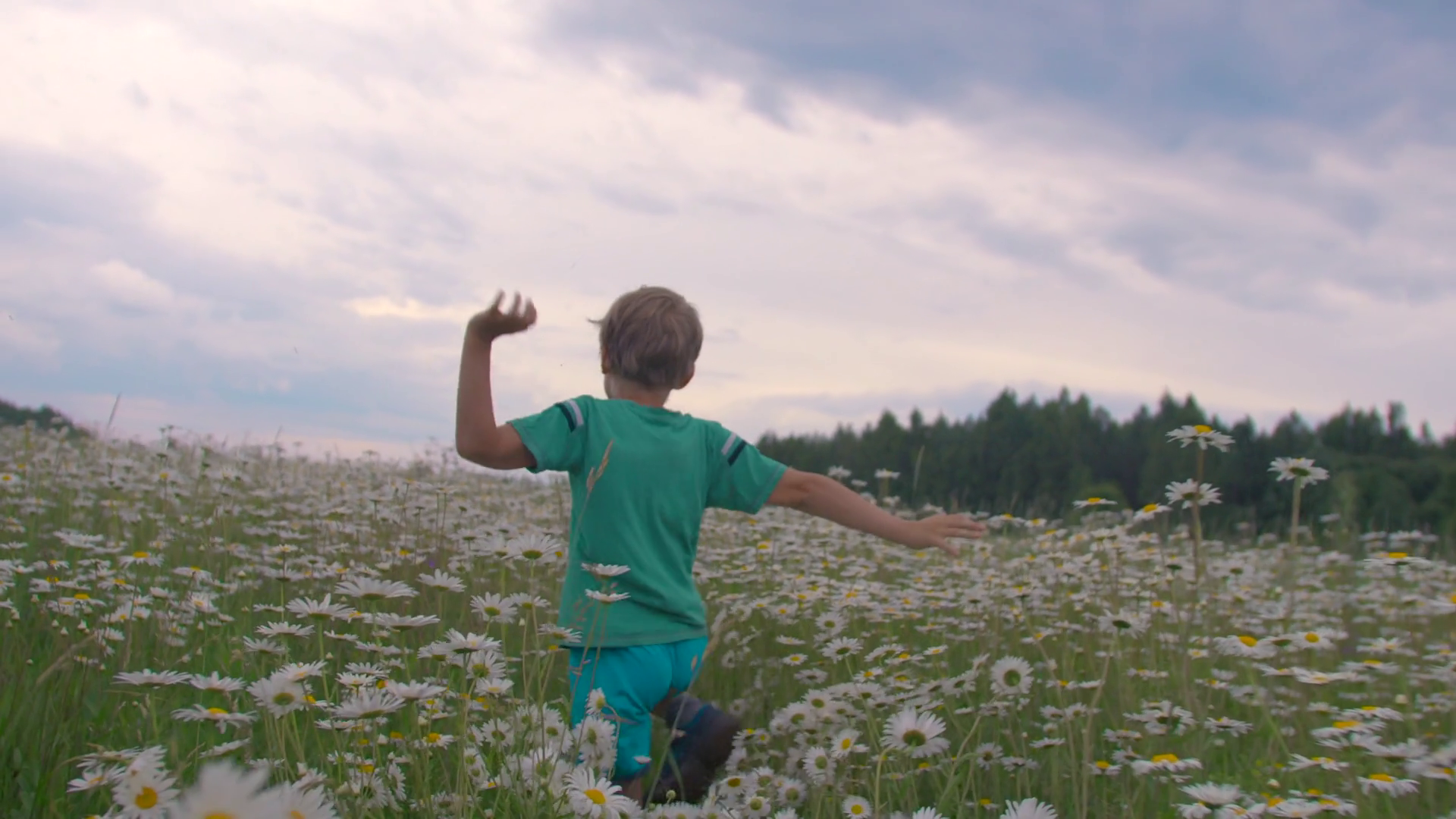 Rear View Of Happy Kid Running In Green Stock Footage SBV-348590671 ...