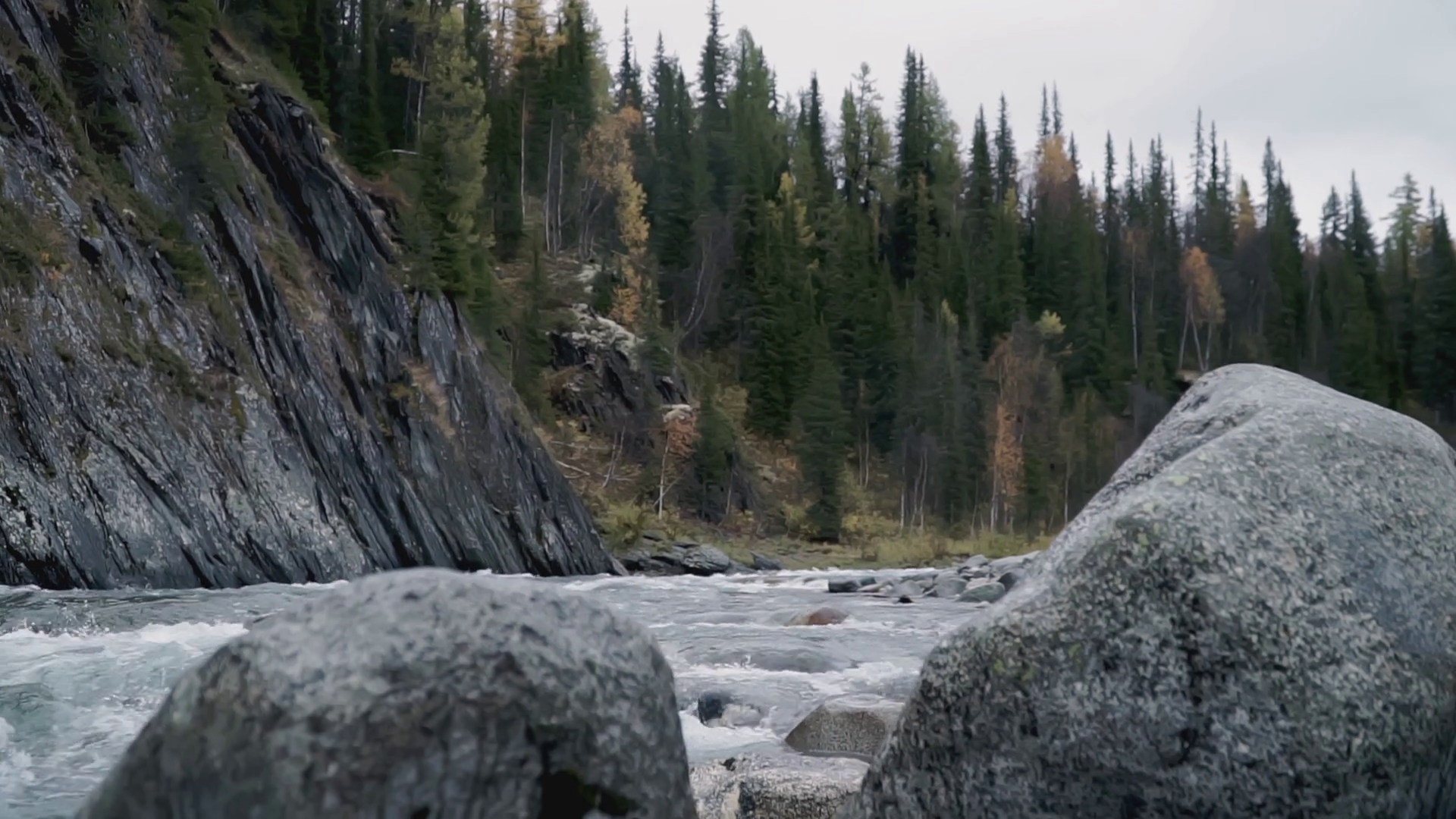 The River Runs Through Forest Clip Trees Stock Footage SBV-348589755 ...