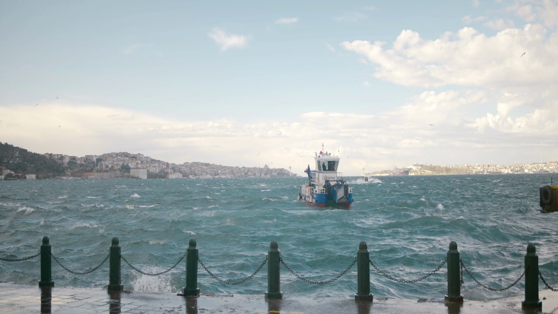 Seascape Action Blue Undulating Sea On White Stock Footage SBV ...