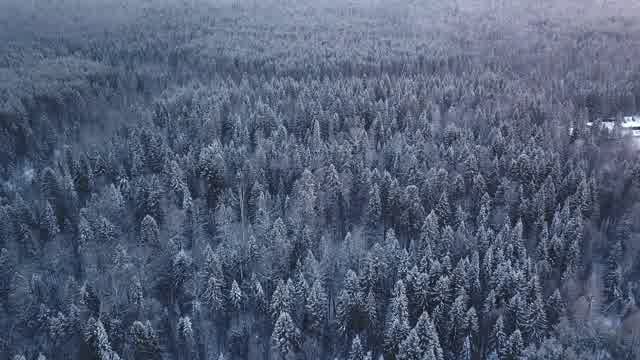 4k Misty Stock Footage: Royalty-Free Video Clips - Storyblocks