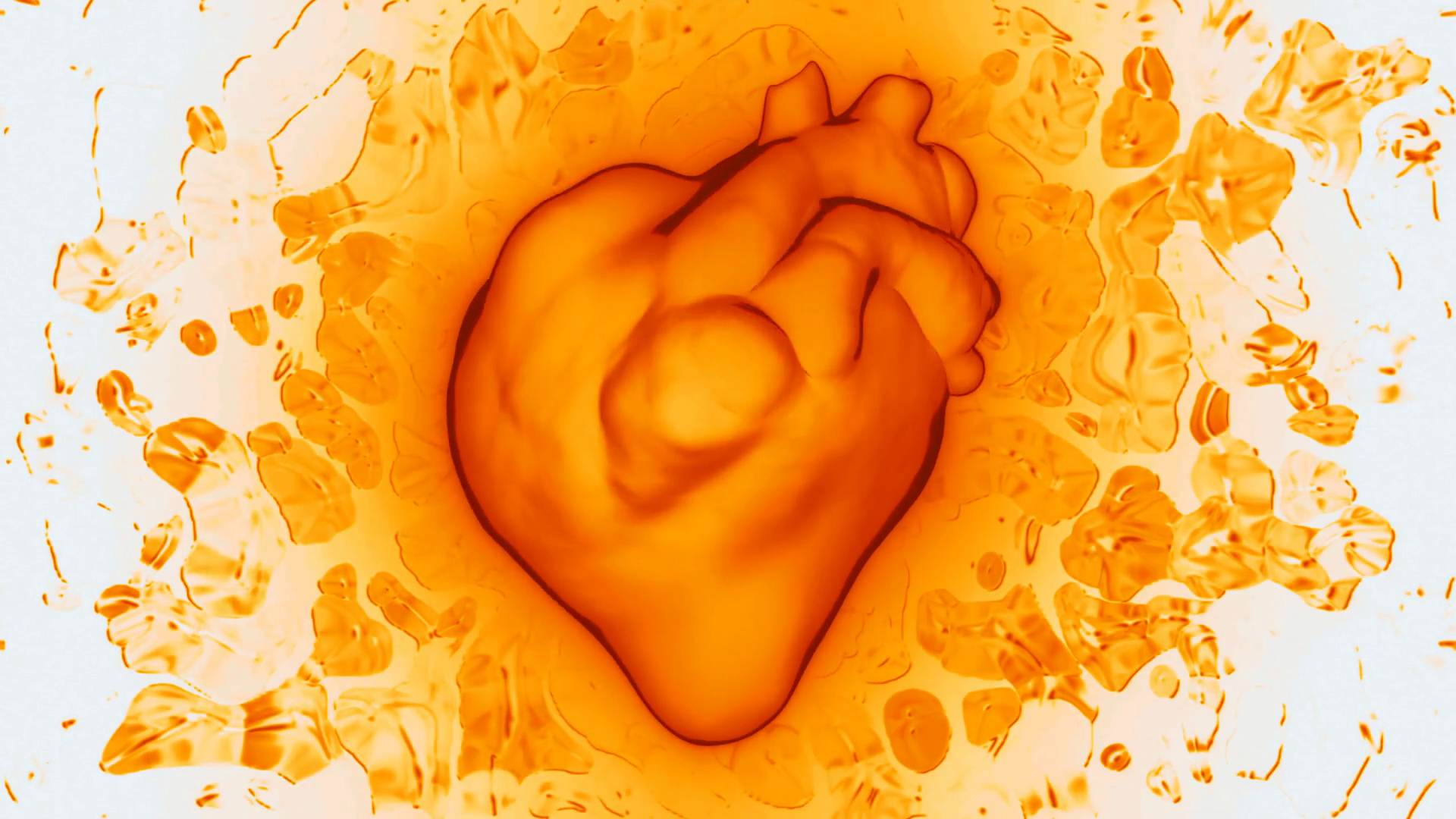 Colorful Beating Human Heart Animation Stock Motion Graphics SBV ...