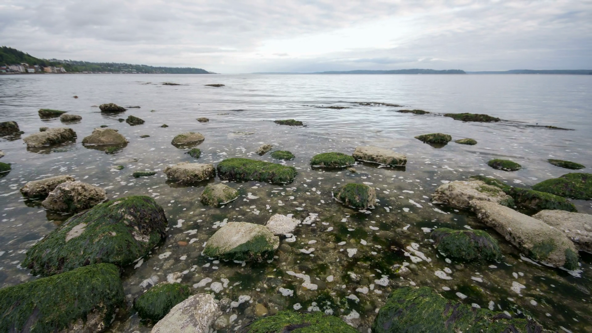 Time Lapse Of Tide Coming In Amongst Moss Stock Footage SBV-348688922 ...