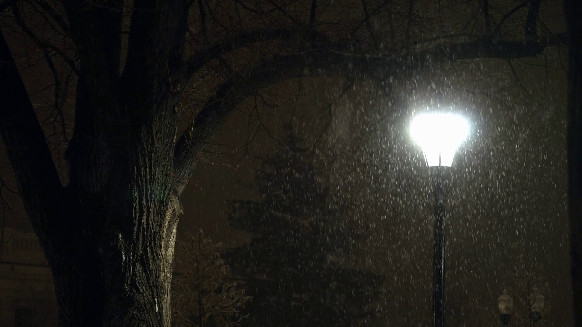 View Of Heavy Wet Snow Rain Falling At Night Stock Footage SBV ...
