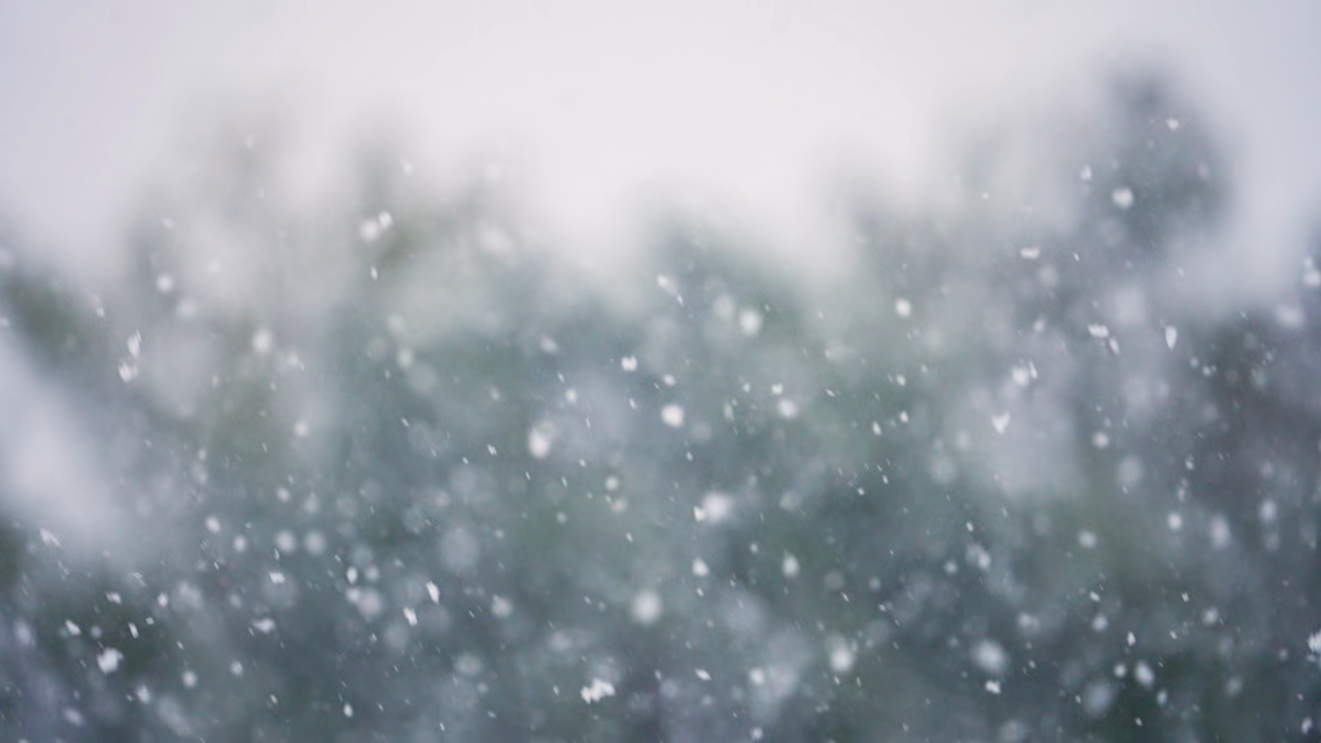 Snow Falling In Slow Motion Winter Storm Stock Footage SBV-354030474 ...