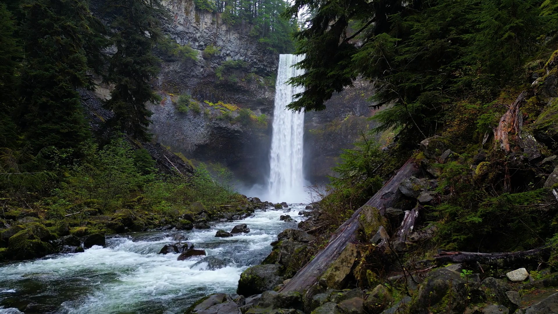 Waterfall River Green Trees In Canadian Stock Footage SBV-348635098 ...