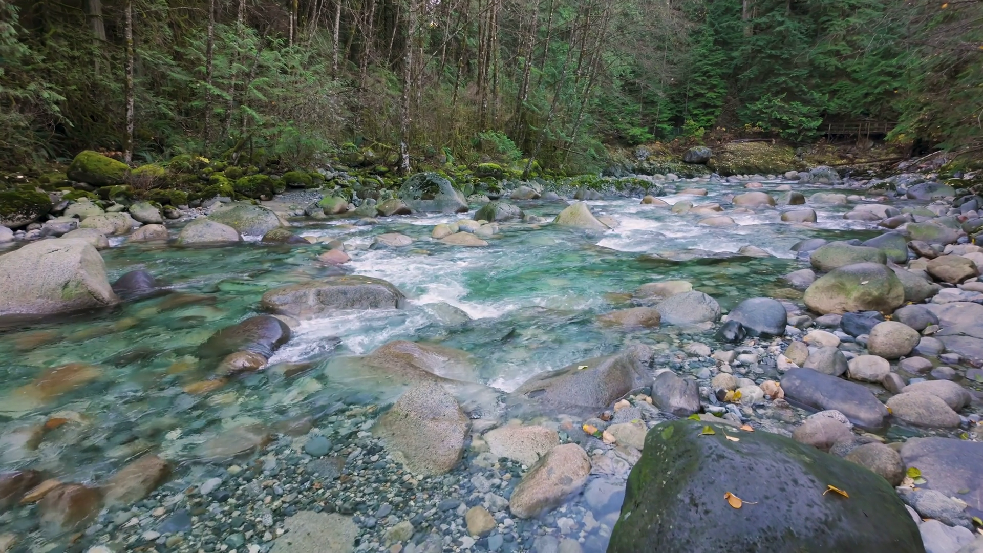 Water Running Down Rocks In River In Canyon Stock Footage SBV-348691741 ...