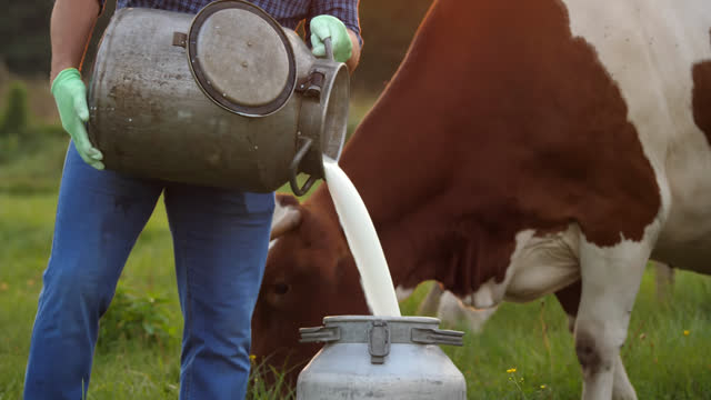 Beverage | Animals stock footage - Storyblocks