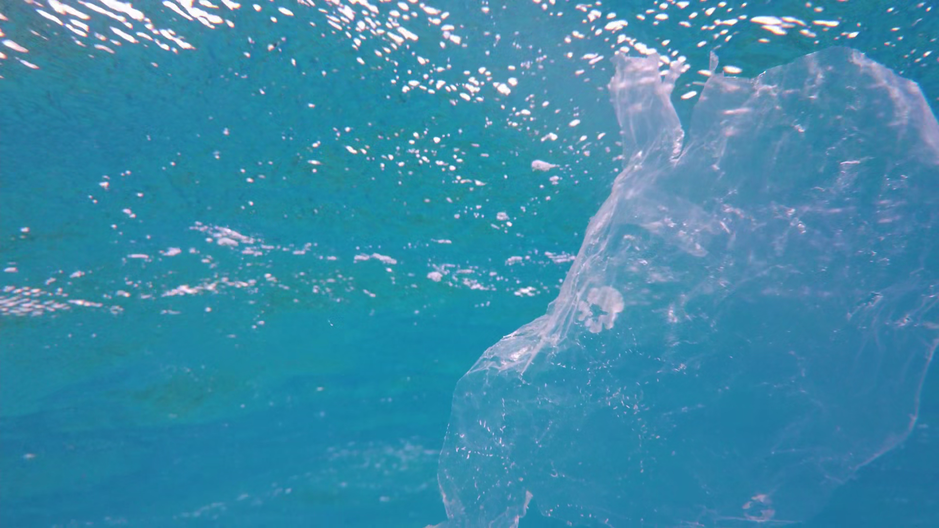 Used Transparent Plastic Bag Slowly Sinking Stock Footage SBV-353828942 ...