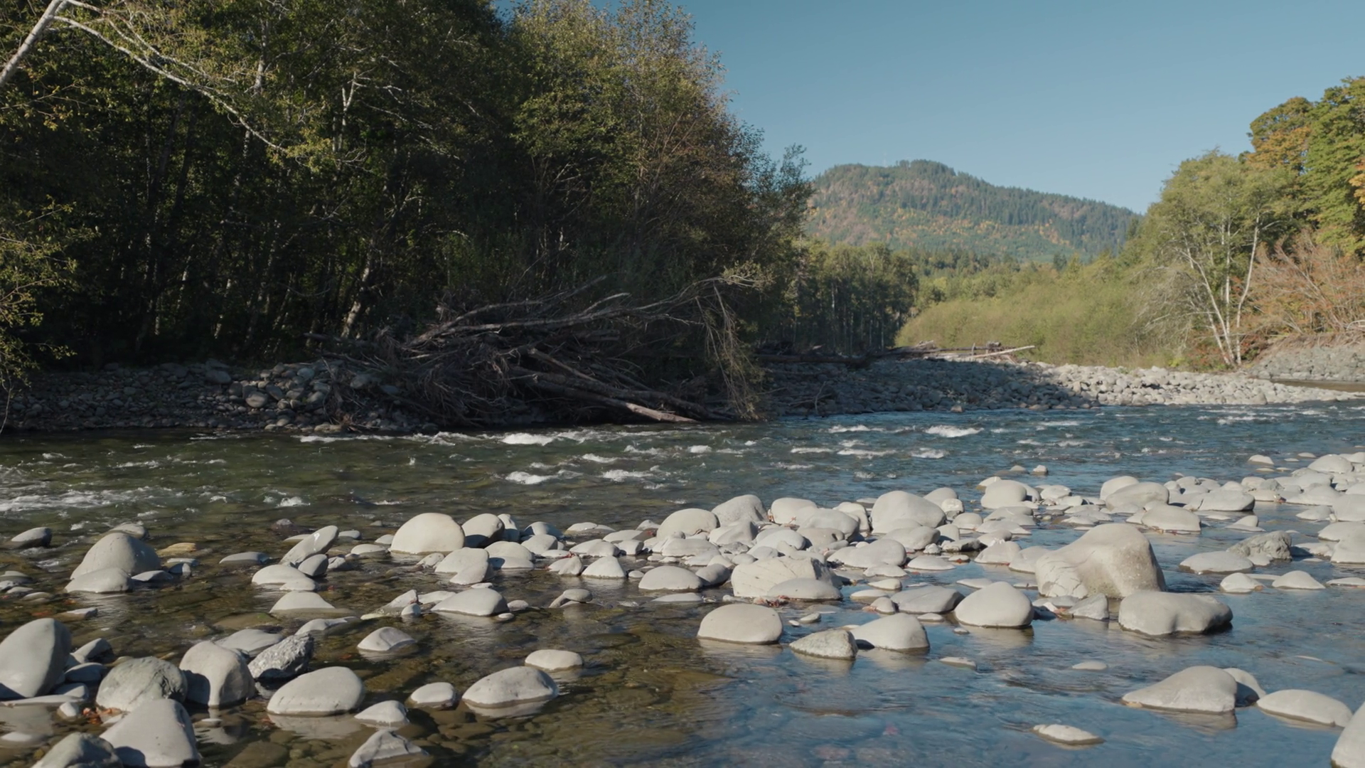 Beautiful Clean Water Elwha River With Rocks Stock Footage SBV ...