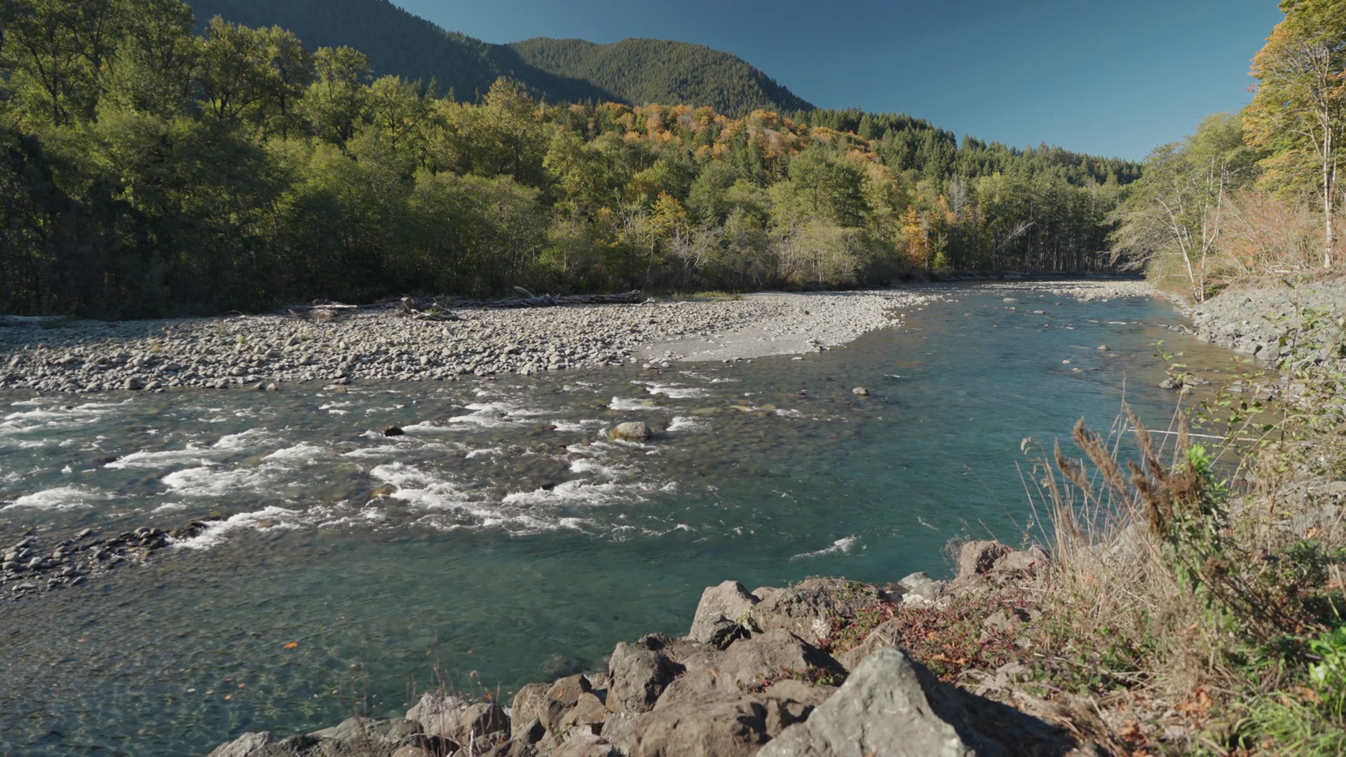 Beautiful Clean Water Elwha River With Rocks Stock Footage SBV ...
