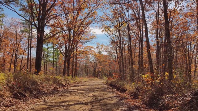 Arkansas State Park Stock Footage: Royalty-Free Video Clips - Storyblocks