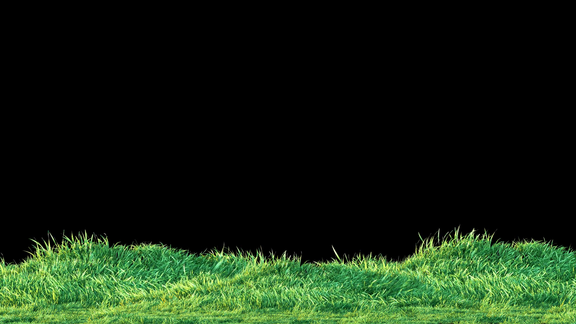 A Seamless Loop Of Grass Gently Swaying In Stock Motion Graphics SBV ...