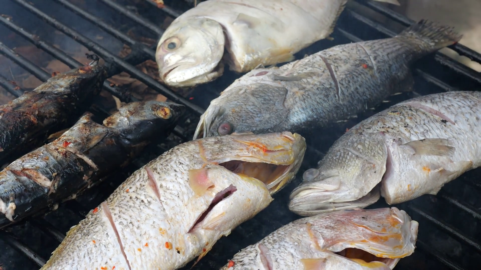 Close Up Of Process Of Grilling Grilled Fish Stock Footage SBV ...