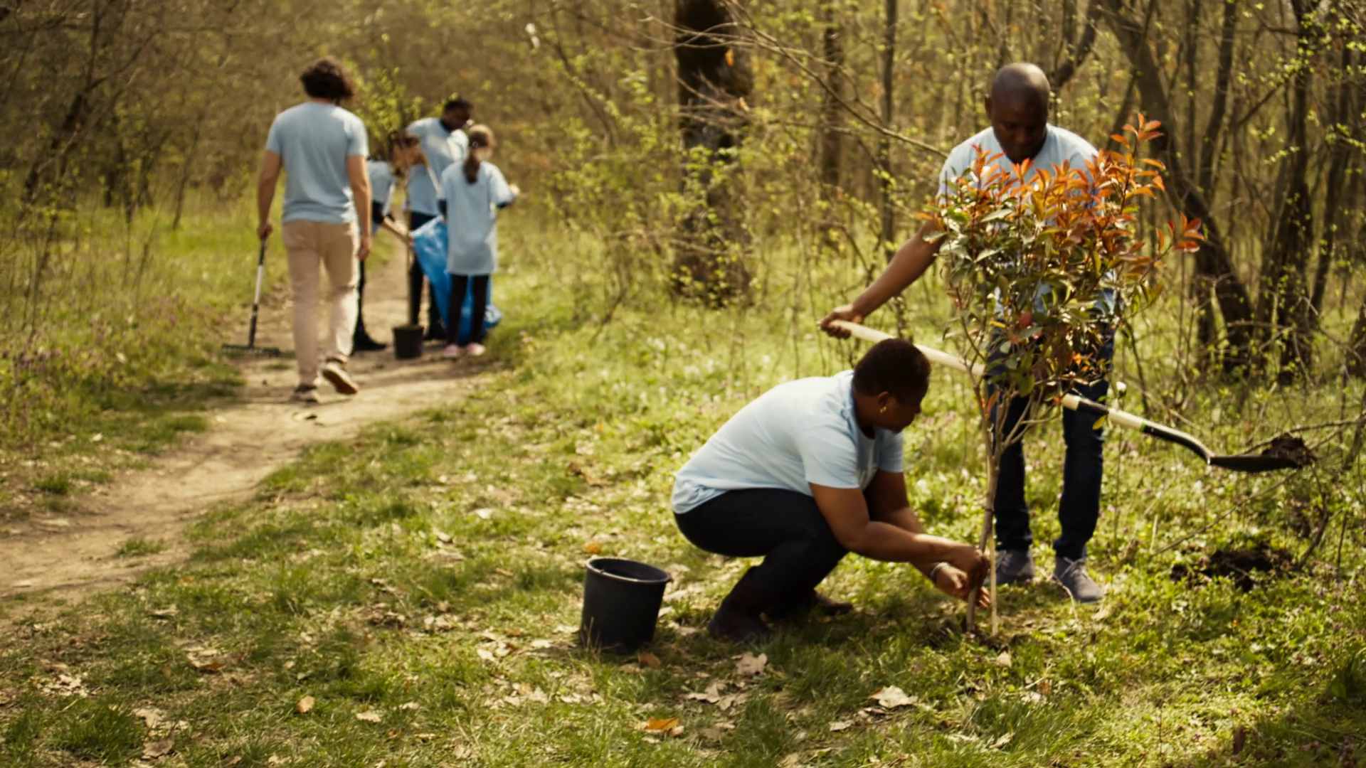 African American Activists Planting Trees Stock Footage SBV-348979558 ...