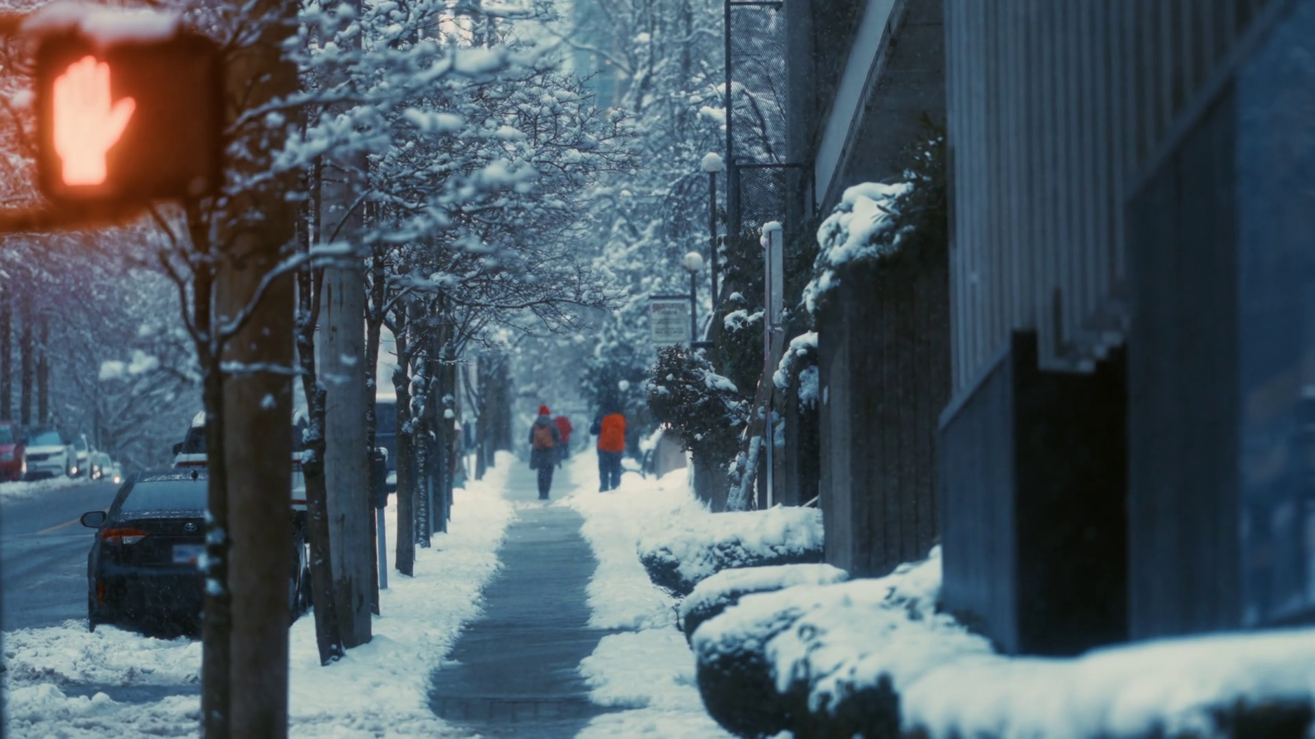 Slow Motioned Snowfall Winter Scene With Stock Footage SBV-350085627 ...
