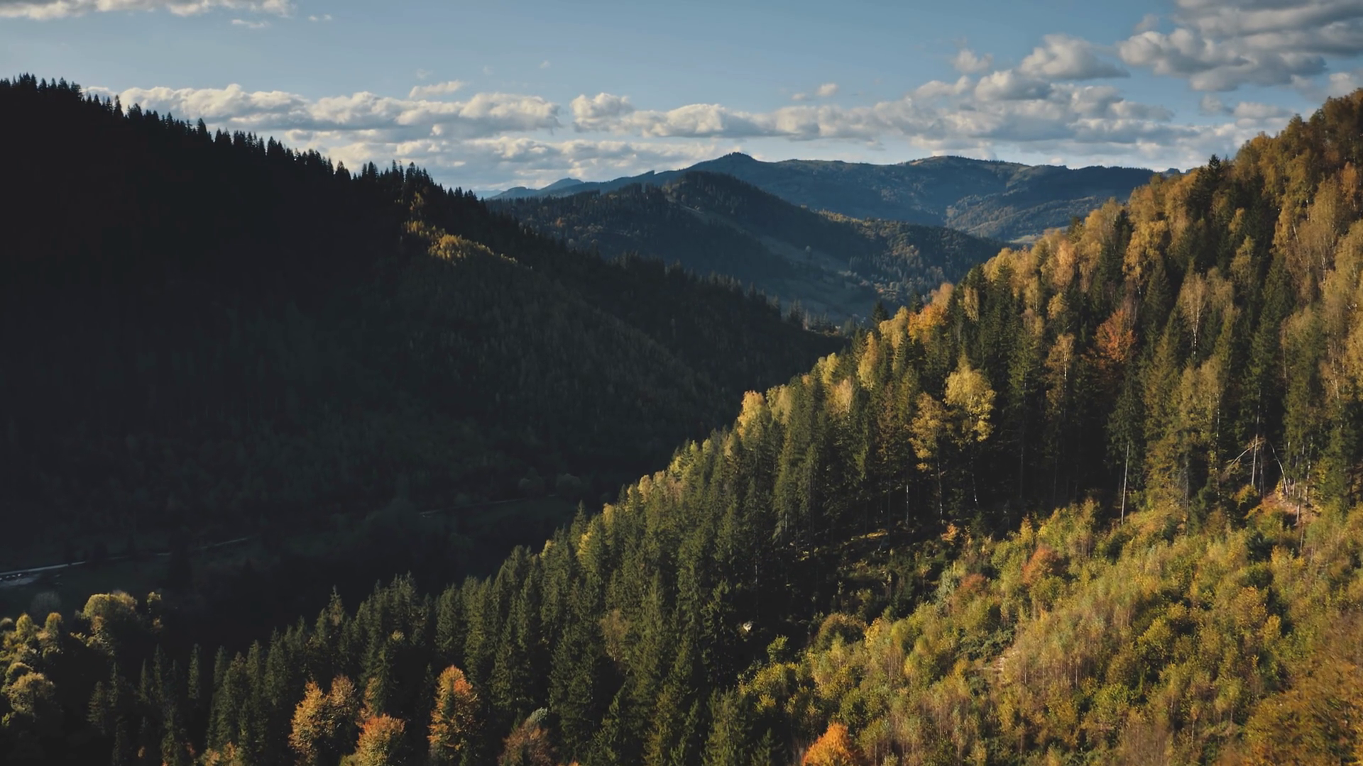 Mountain Ridges With Pine Forest Aerial Stock Footage SBV-348719507 ...