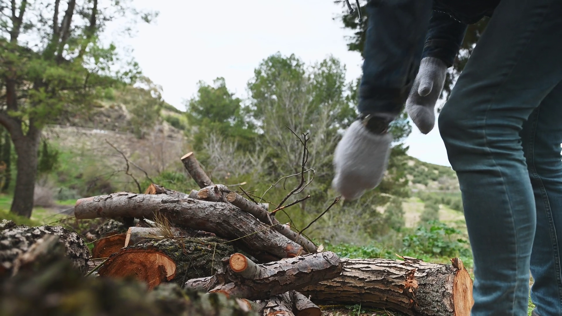 Close-up Of Man Lumberjack Stacking Chopped Stock Footage SBV-348866387 ...