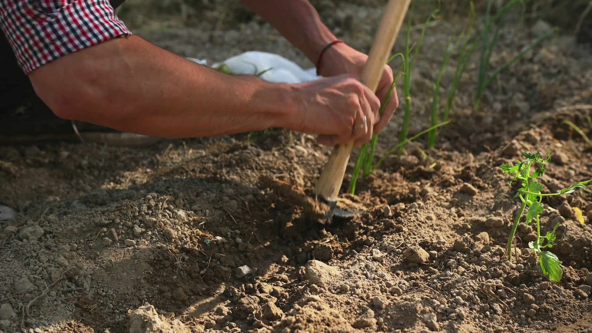 Gardener Digging Up Home Garden Soil With Stock Footage SBV-348987146 ...