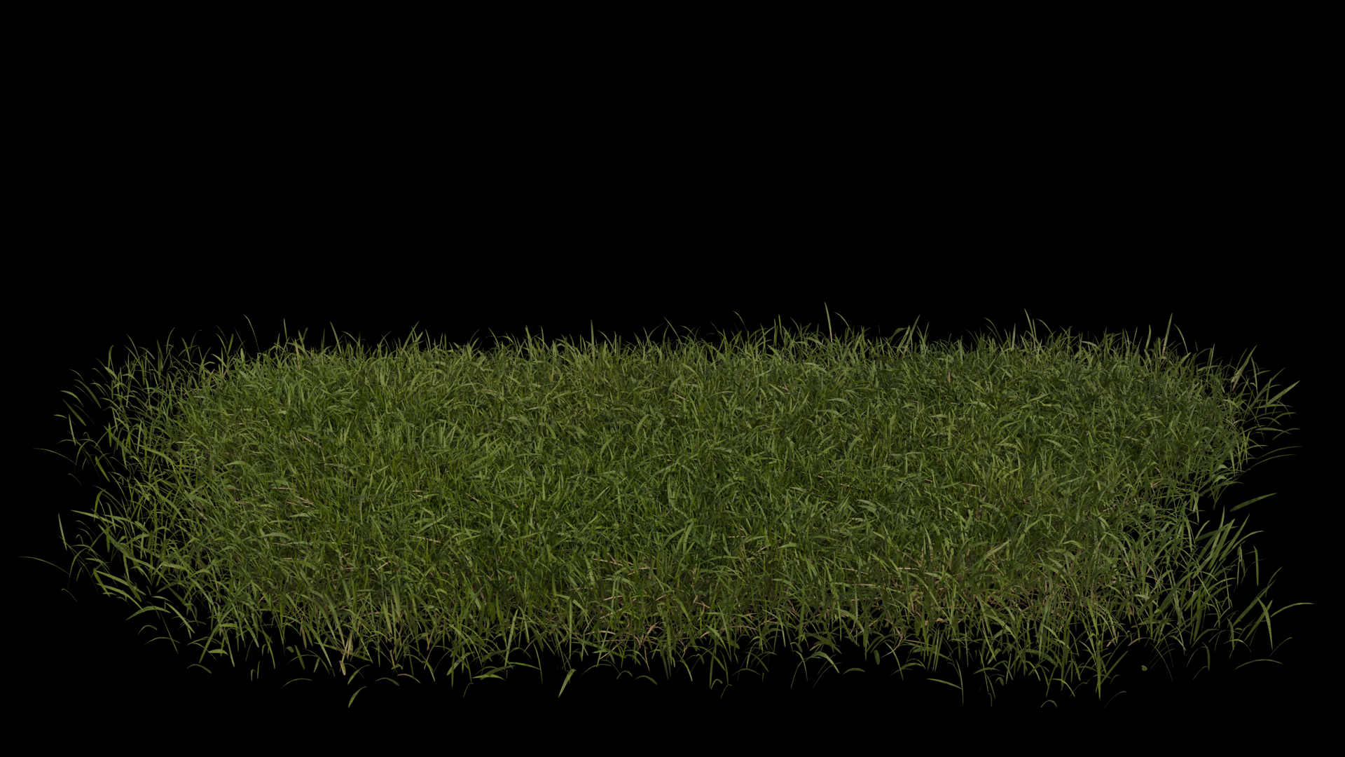 Grass Field Blowing In Wind Loop Animation Stock Footage SBV-353833306 ...
