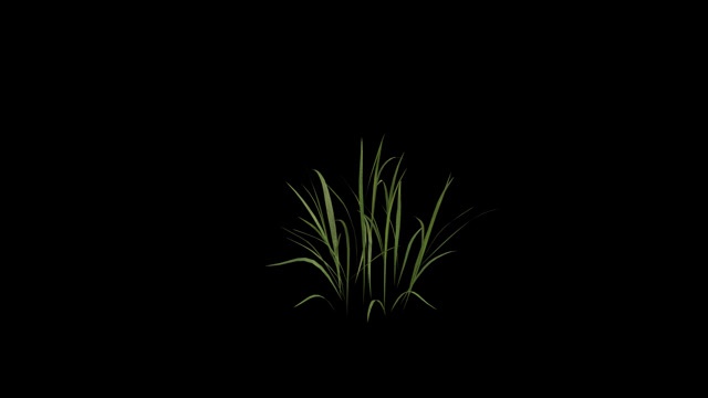 Animated Grass Stock Footage: Royalty-Free Video Clips - Storyblocks