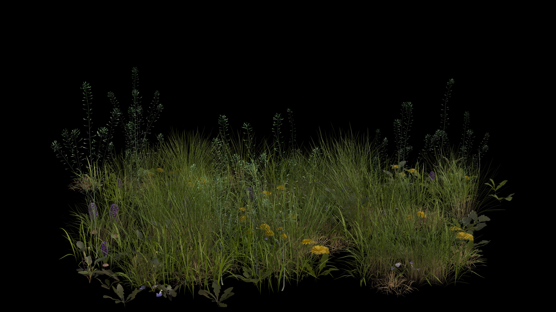 Pasture Field Blowing In Wind Loop Animation Stock Footage SBV ...