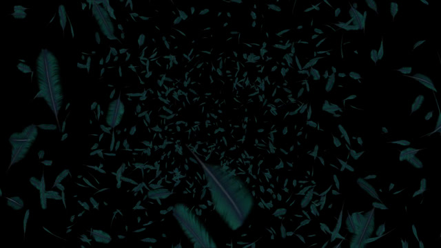 Feather Explosion Stock Footage: Royalty-Free Video Clips - Storyblocks