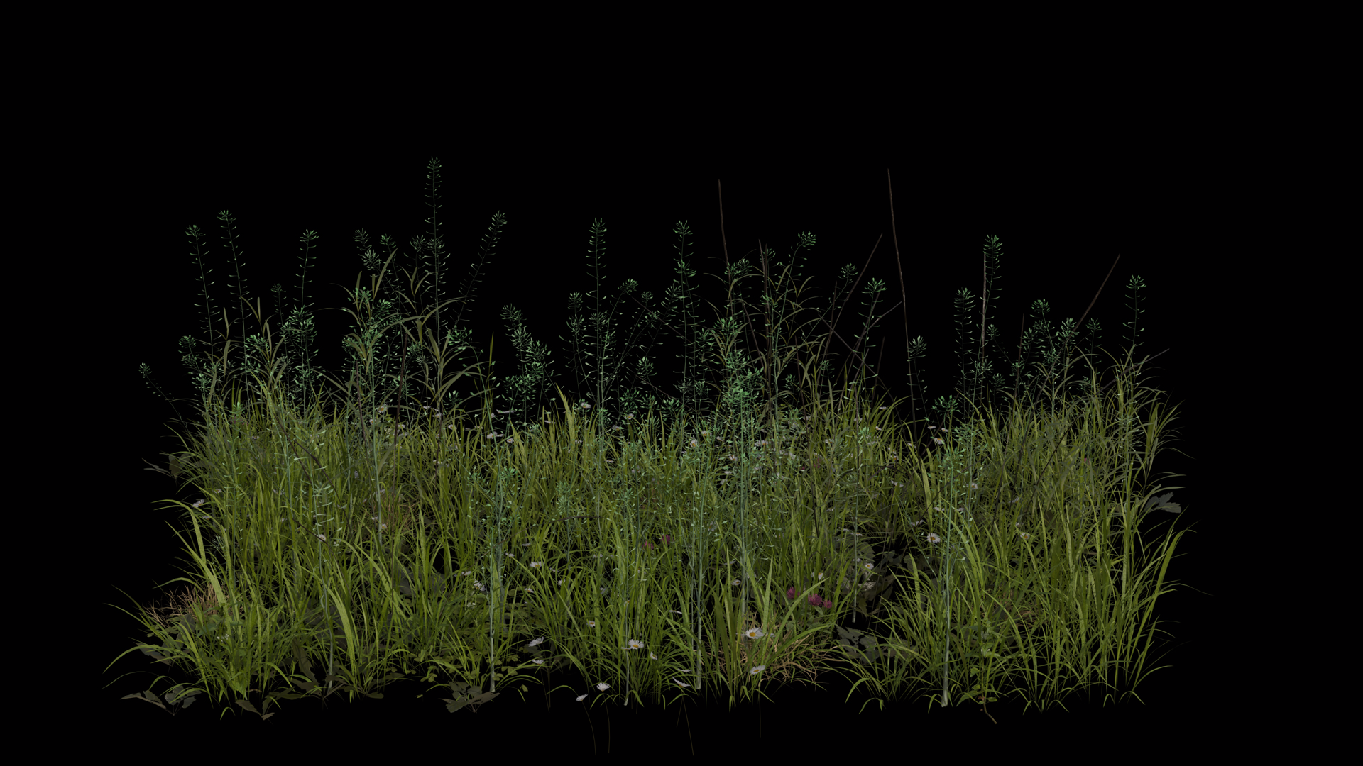 Pasture Field Blowing In Wind Loop Animation Stock Footage SBV ...
