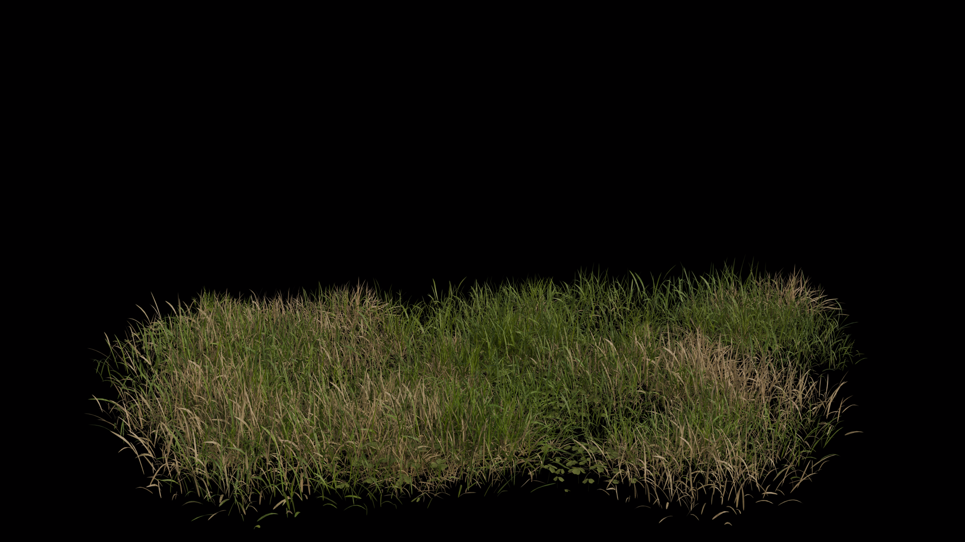Lawn Grass Blowing In Wind Loop Animation Stock Footage SBV-353833476 ...