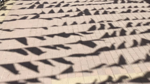 Moving Shadows Stock Footage: Royalty-Free Video Clips - Storyblocks