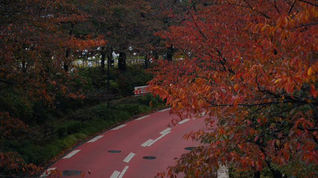 Empty Bicycle Stock Footage: Royalty-Free Video Clips - Storyblocks