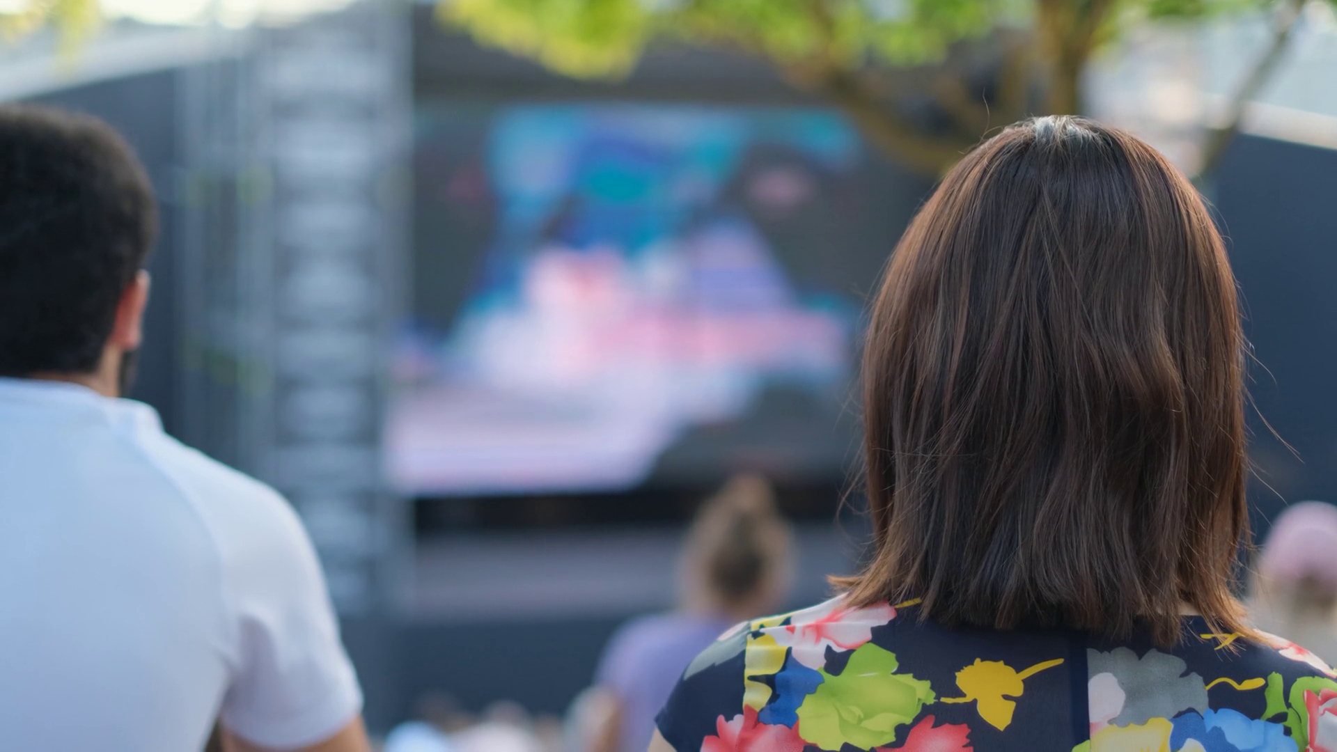 Back View Of Spectators Watching Movie At Stock Footage SBV-347752995 ...