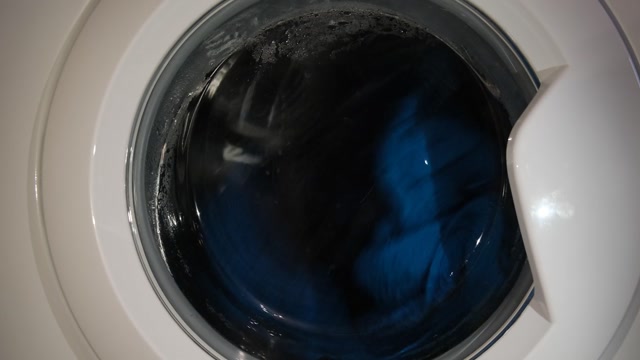 Washed Up Stock Footage: Royalty-Free Video Clips - Storyblocks