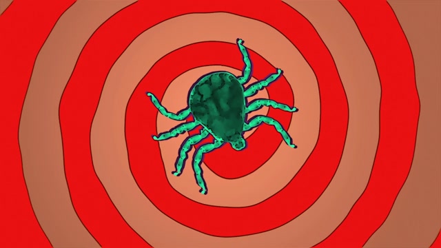 Tick Animation | Effects and Overlays motion backgrounds - Storyblocks