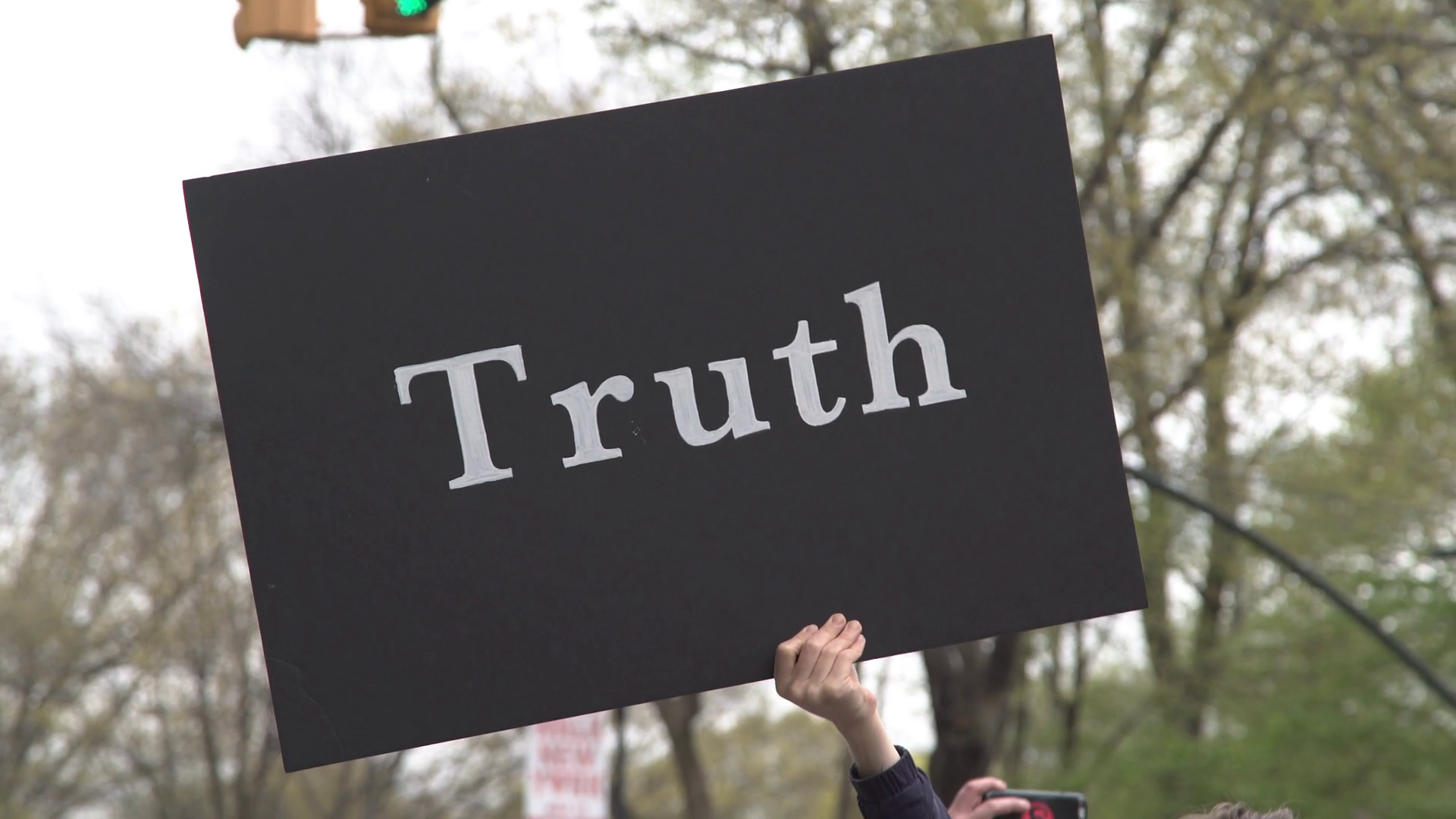 Protestor Holds Minimalist 