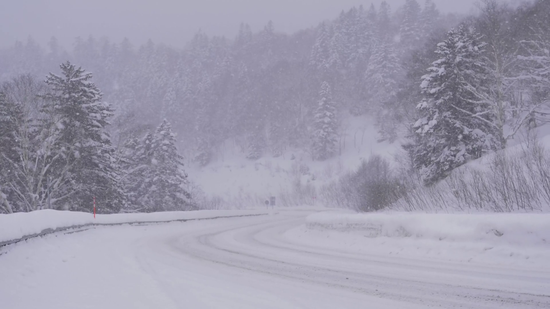 Extensive Snowfall Moving Across Countryside Stock Footage SBV ...
