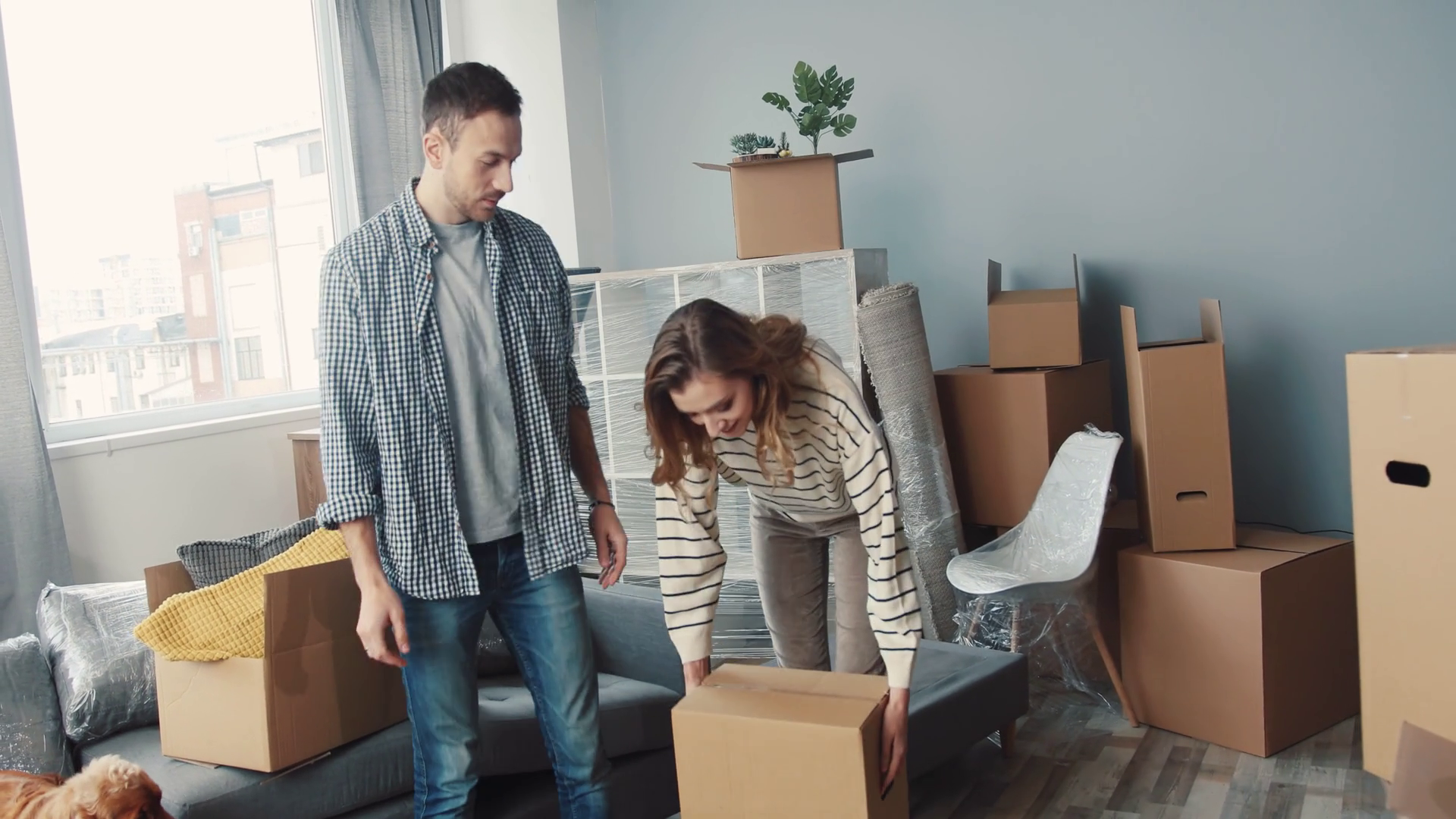 A Couple Happily Moving Into New Home Filled Stock Footage SBV ...