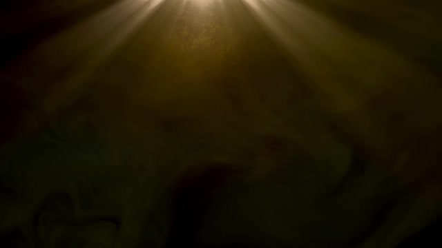 Backlight Effect Stock Footage: Royalty-Free Video Clips - Storyblocks