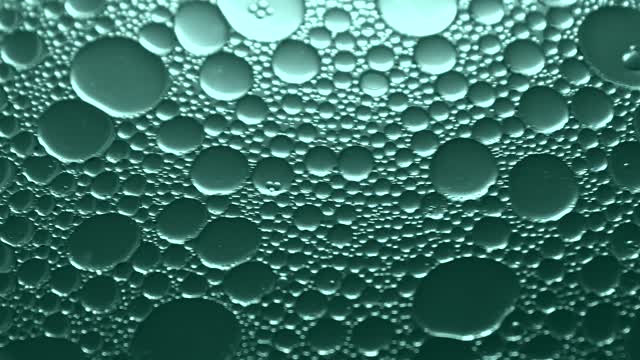 Dew Pattern Stock Footage: Royalty-Free Video Clips - Storyblocks