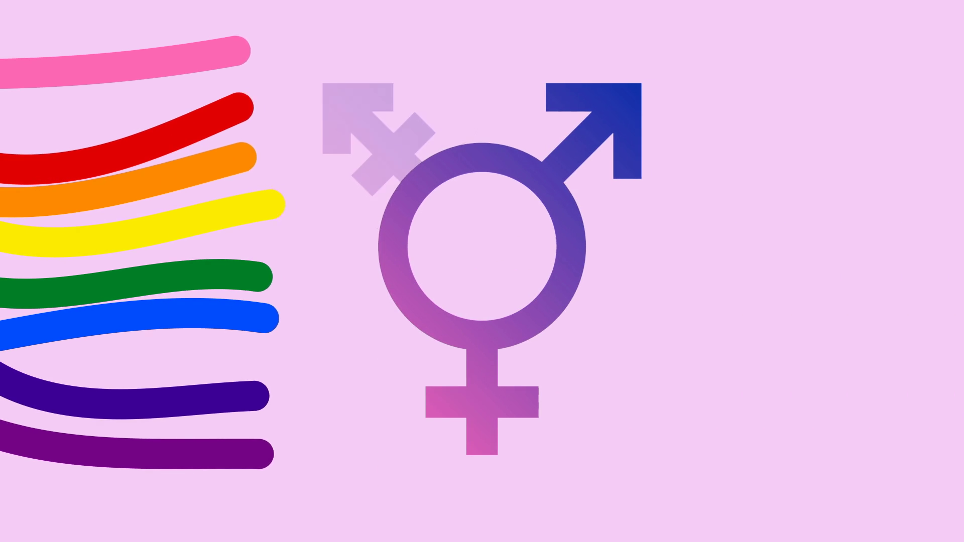 Animation Of Colors Lgbt Community Sign Of Stock Motion Graphics SBV ...