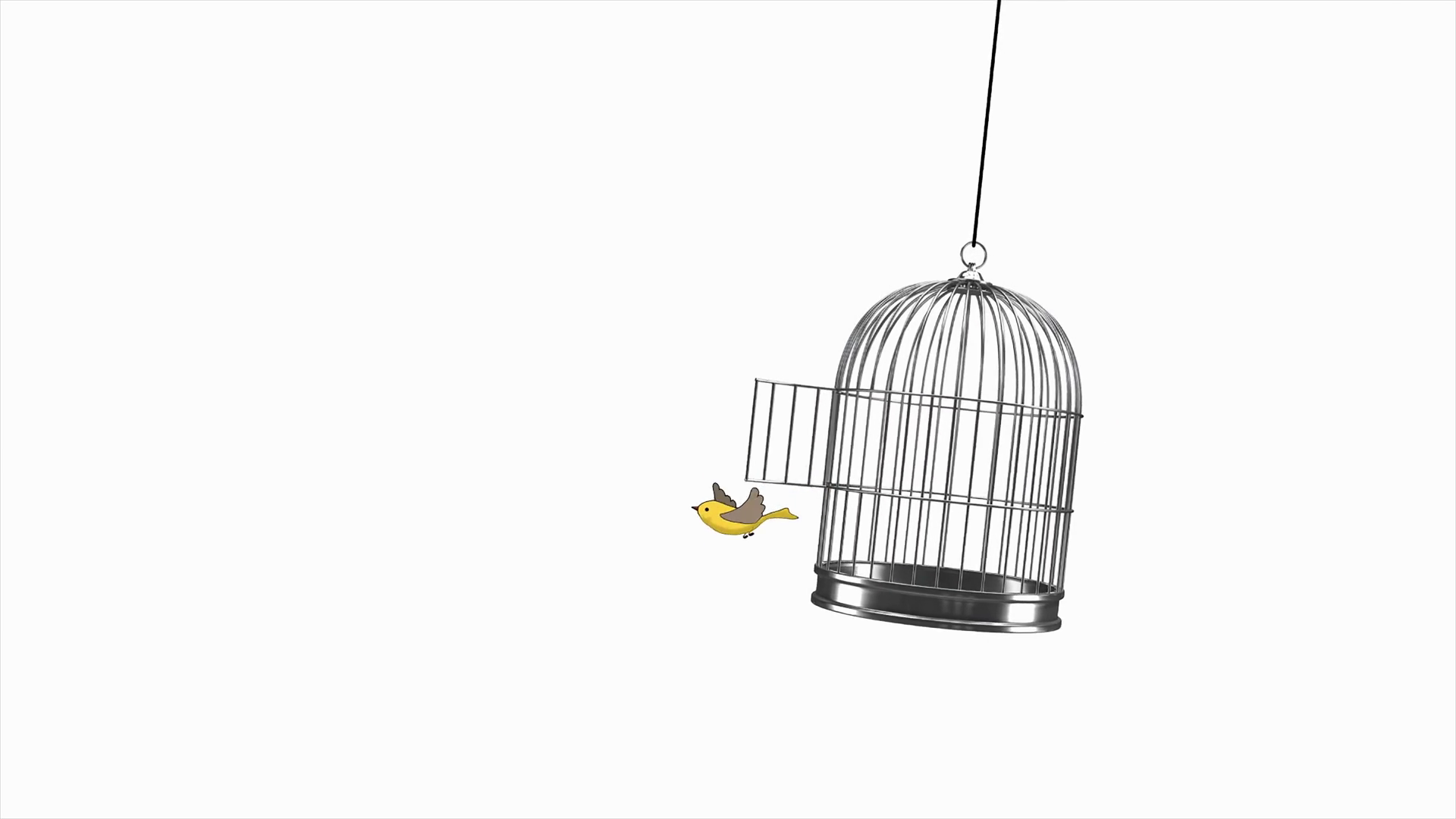 Hand-drawn Animation: Bird Flying Out Of Cage Stock Motion Graphics SBV ...