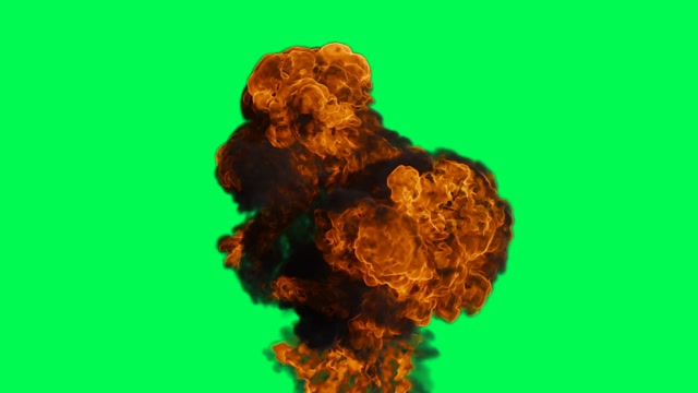 Brain Green Screen | Nature motion backgrounds - Storyblocks