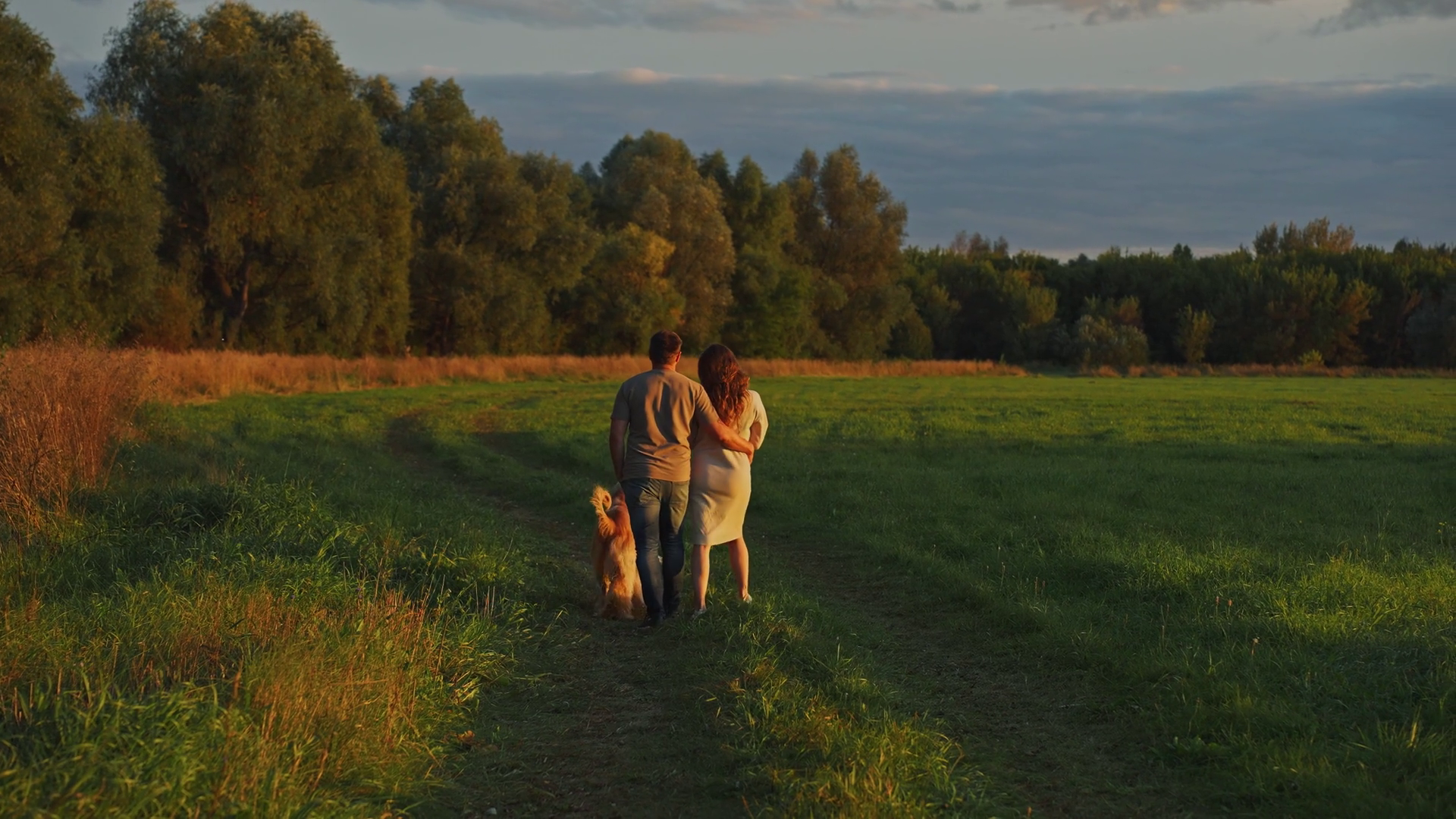 Couple Enjoying Evening Walk With Dog In Stock Footage SBV-349287692 ...