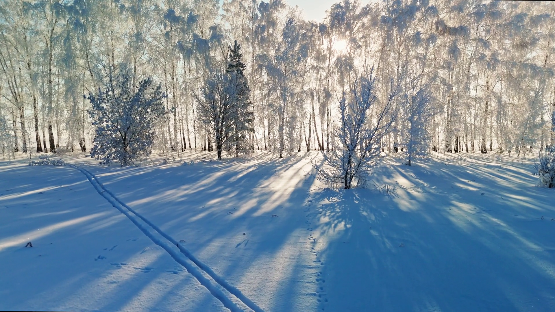 Winter Landscape With Trees Shadows On Stock Footage SBV-351886076 ...