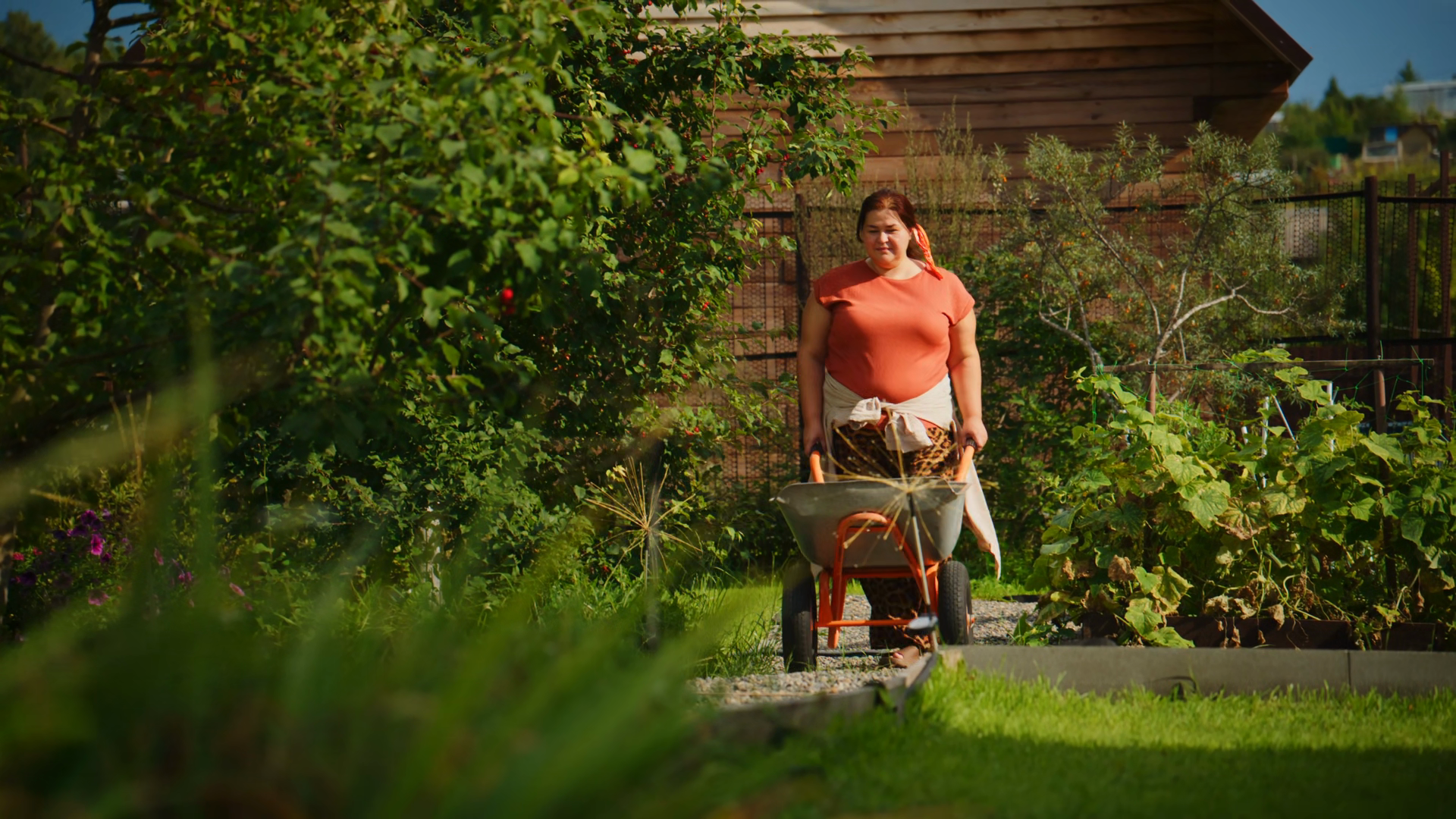 A Joyful Gardener Pushing Wheelbarrow Stock Footage SBV-354077092 ...